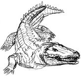 img/PROG09_CONT_R54_Cocodrilo